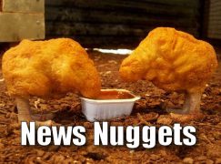 #NewsNuggets: 6-26-17